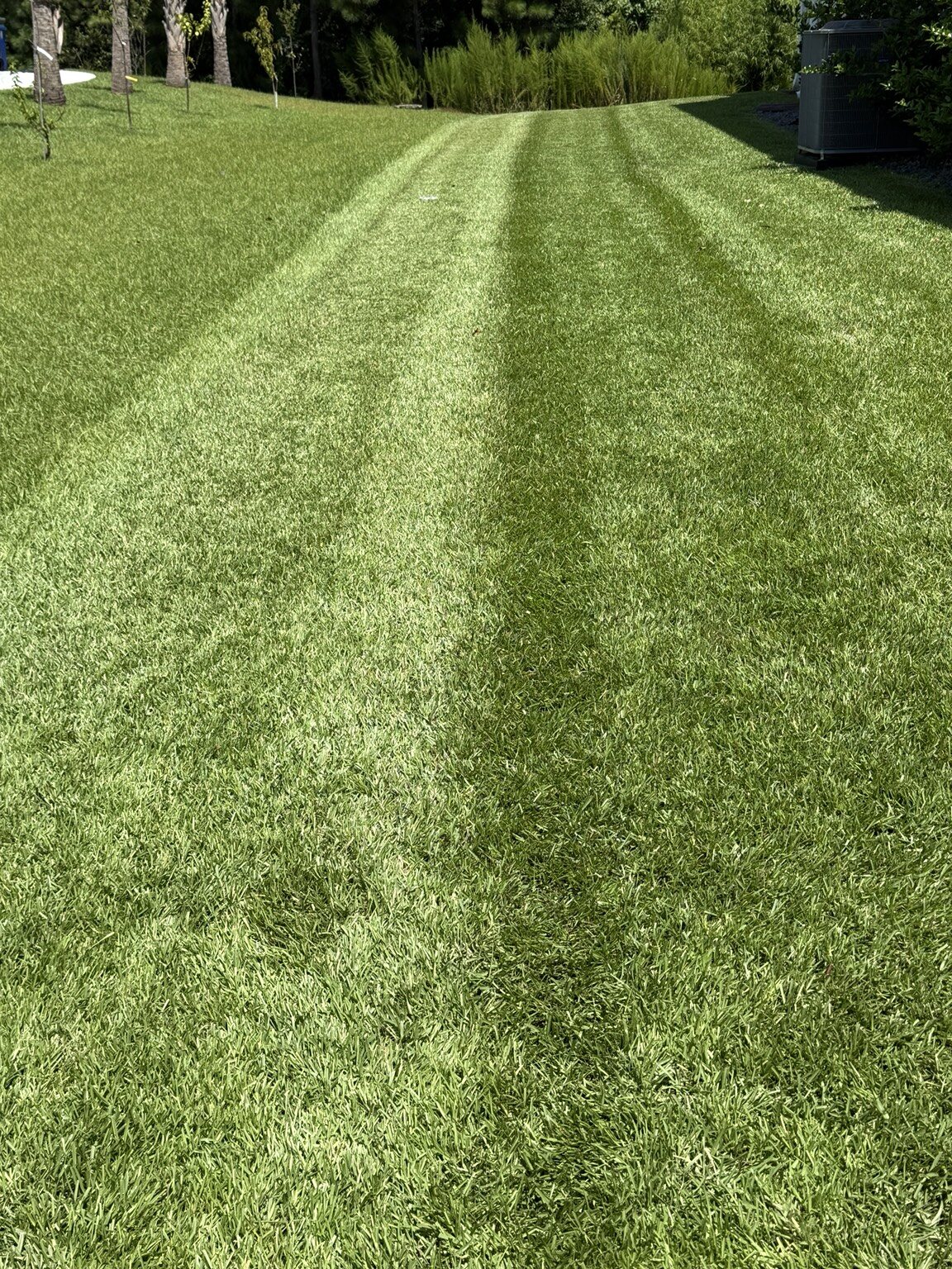 Clean mowing lines in a backyard