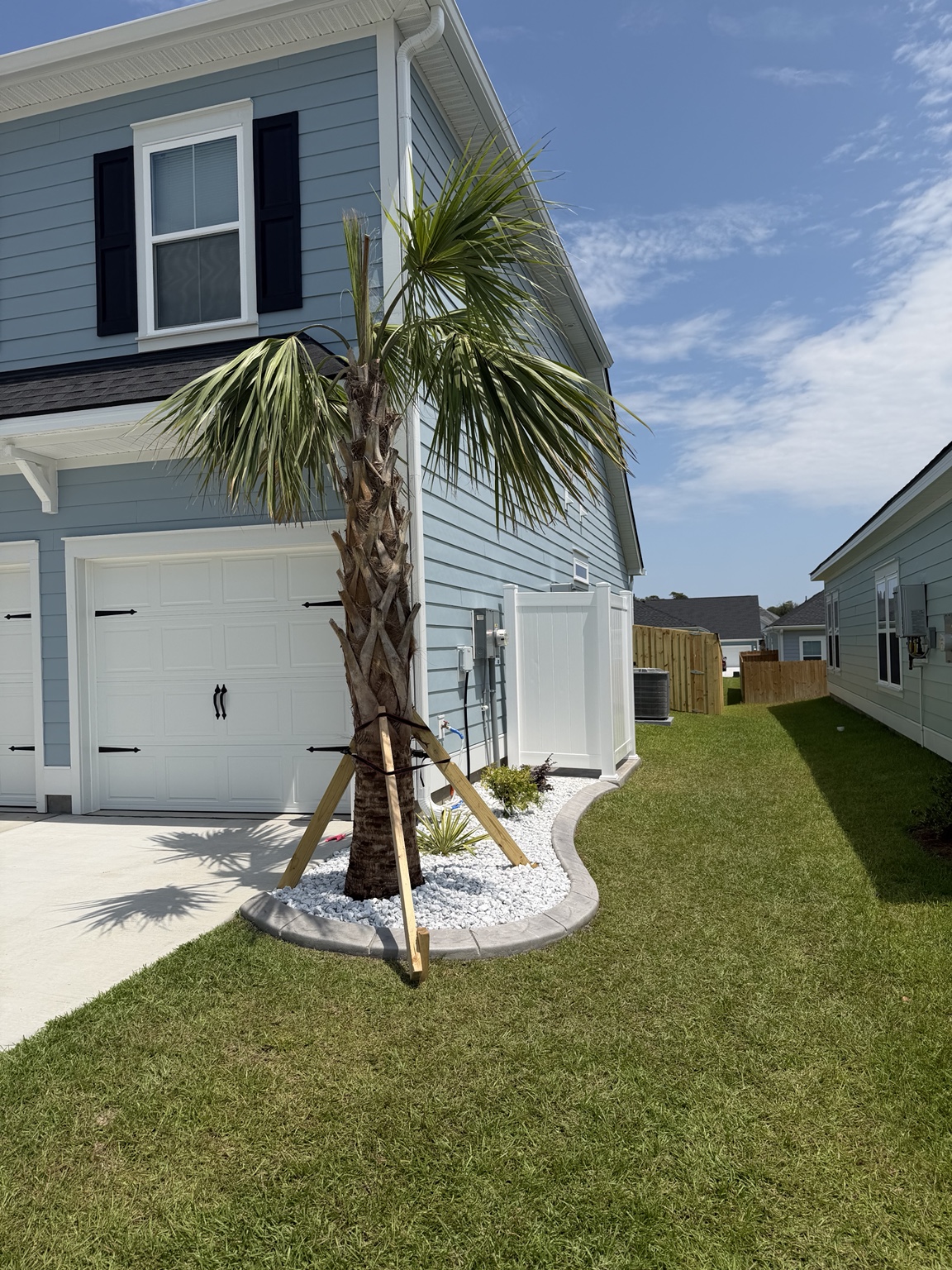 Professionally installed palm