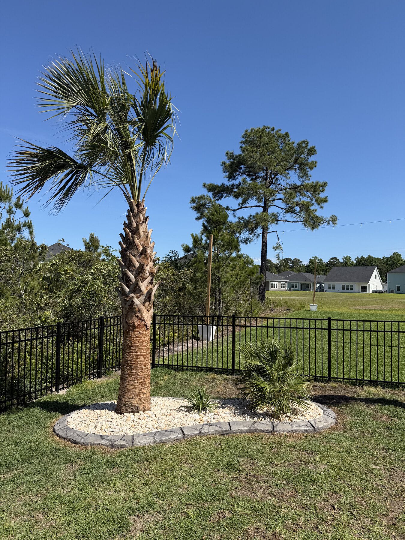 Landscape beside a black aluminum fence