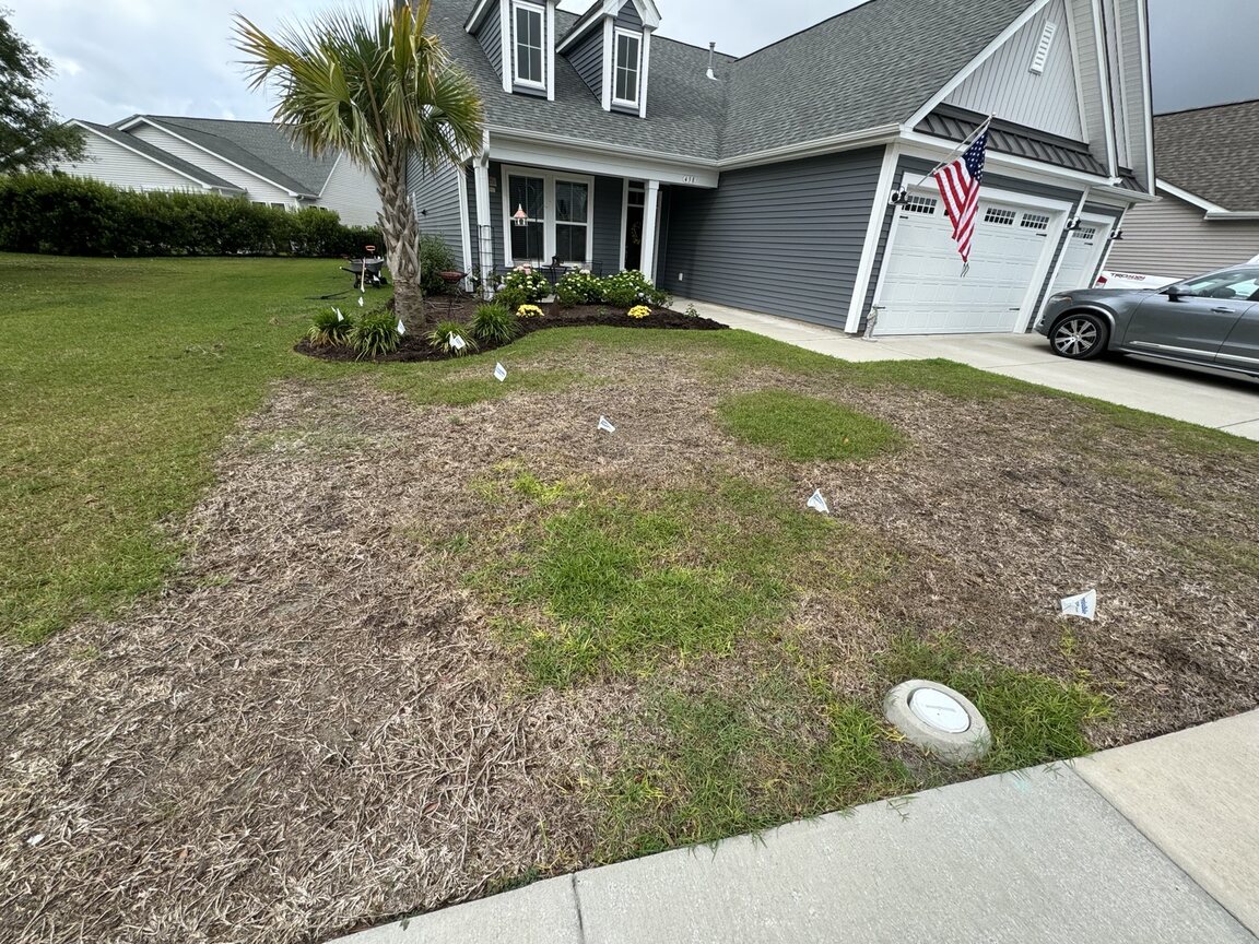 Lawn before sod preparation